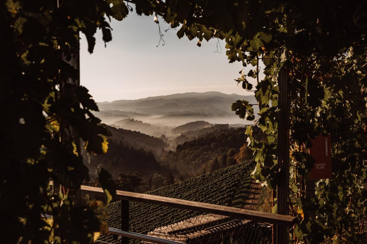 Villa Weingut Kollerhof Am Eichberg à Leutschach Extérieur photo
