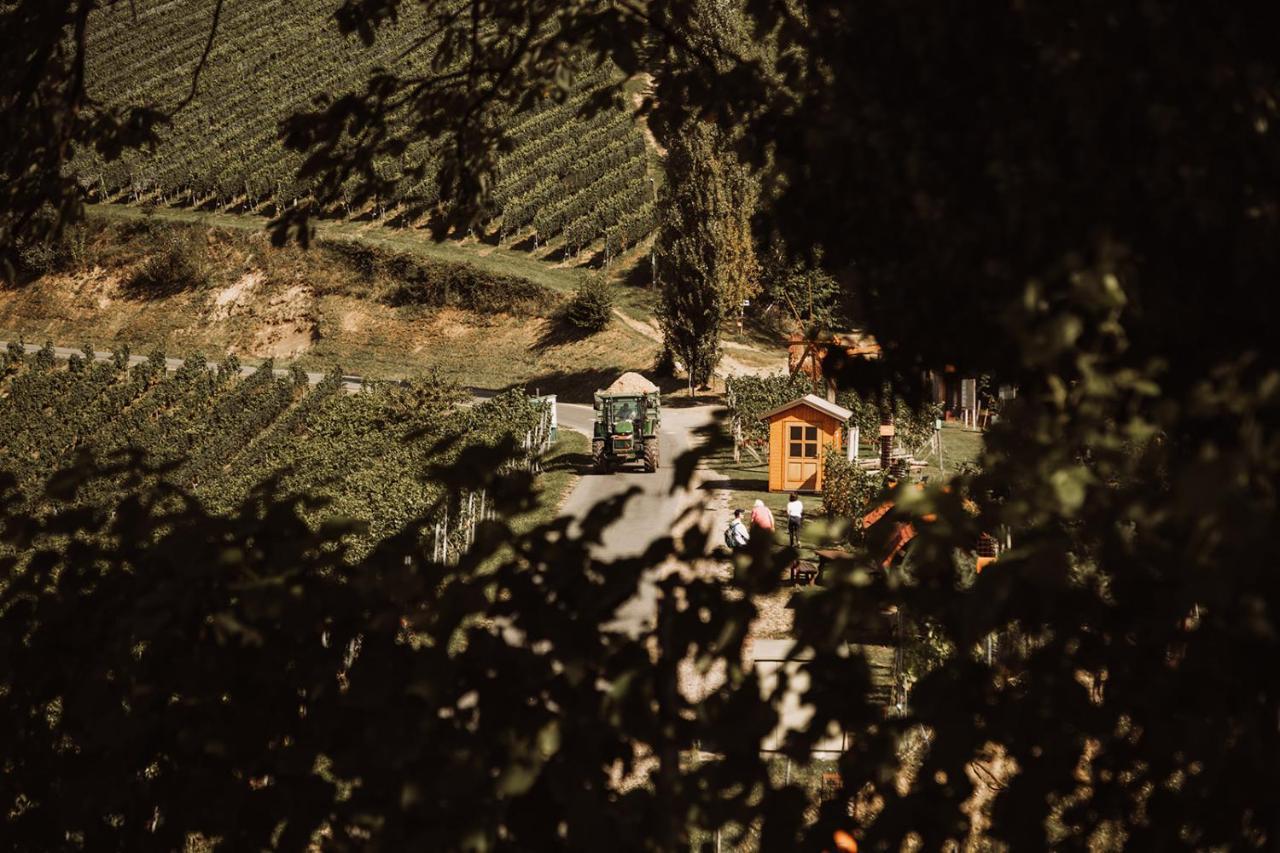 Villa Weingut Kollerhof Am Eichberg à Leutschach Extérieur photo