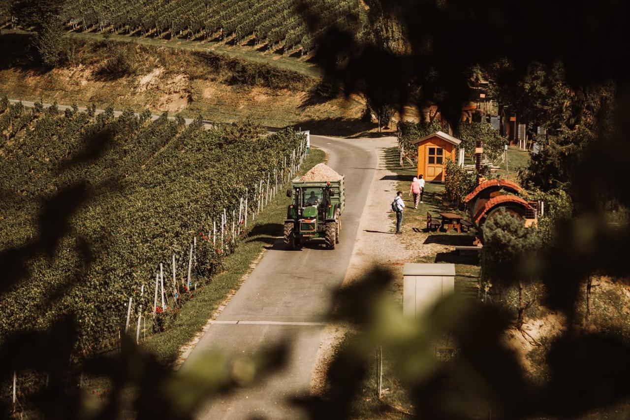 Villa Weingut Kollerhof Am Eichberg à Leutschach Extérieur photo